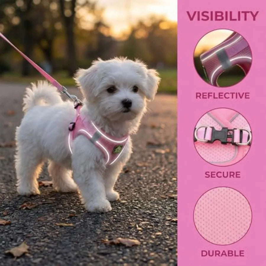 Dog Harness Vest with Leash Set.
