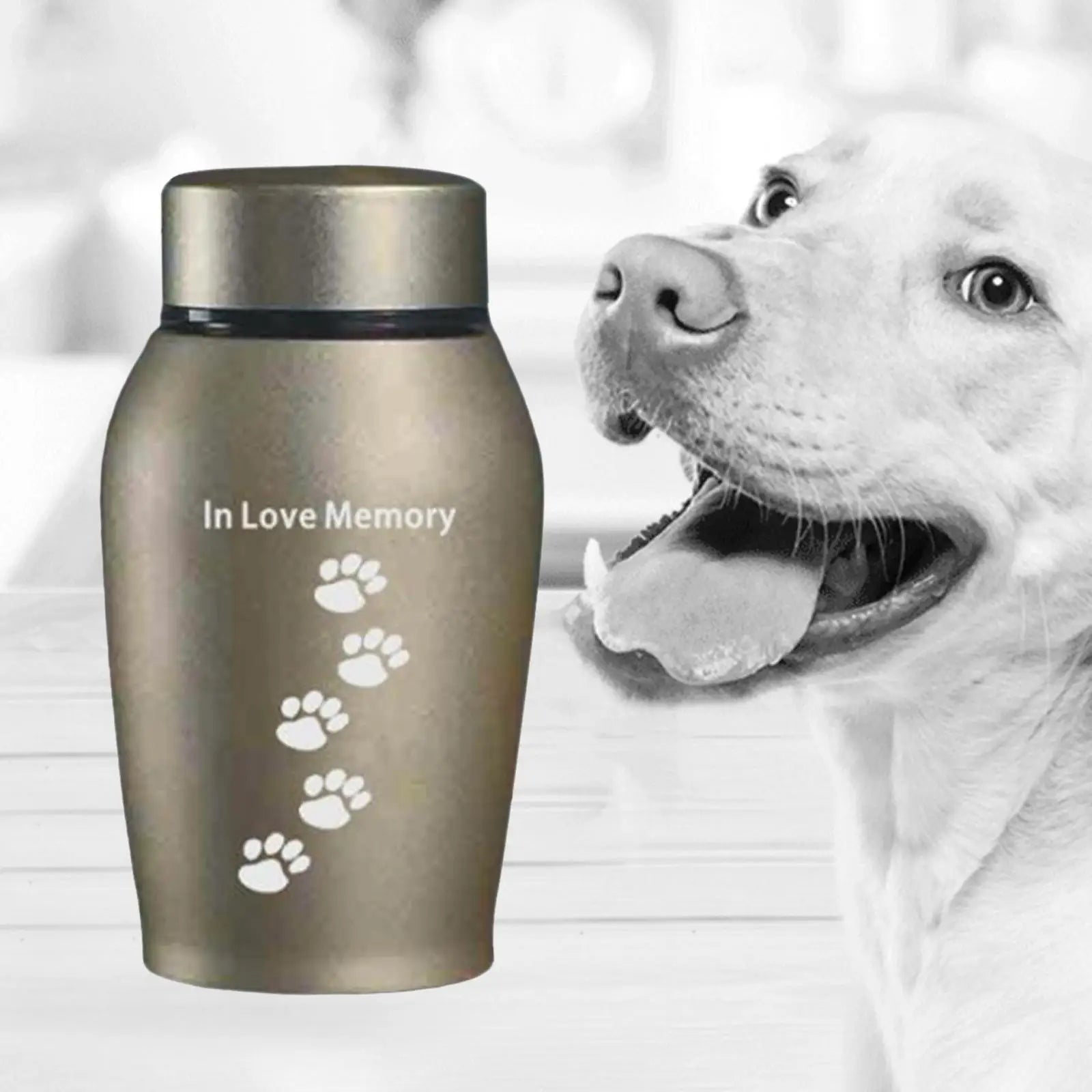 Cremation Memorial Urns for Dogs and Cats.