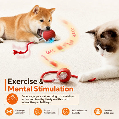 Automatic Rolling Dog Ball Toy.