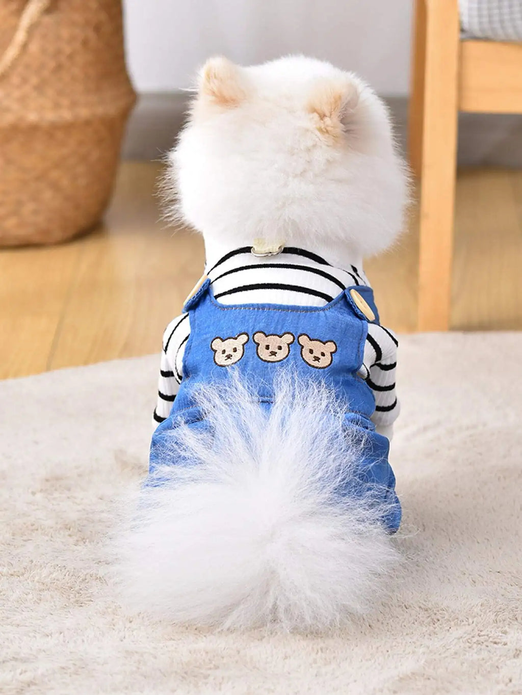 1 piece Spring & Summer Pet Clothes for Dogs and Cats.  Pet Suspender Pants and a  Cute Bear Print on the back of the Casual Jumpsuit.