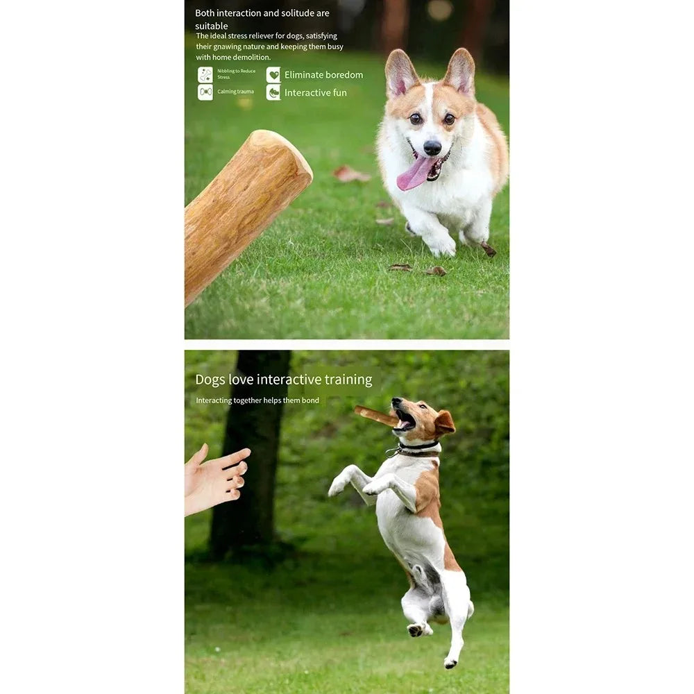 Natural Coffee Wood Dog Chew Toys,  Long Lasting Chewable Sticks.  Relieves Stress for Dogs and May Be Given to Puppies also.