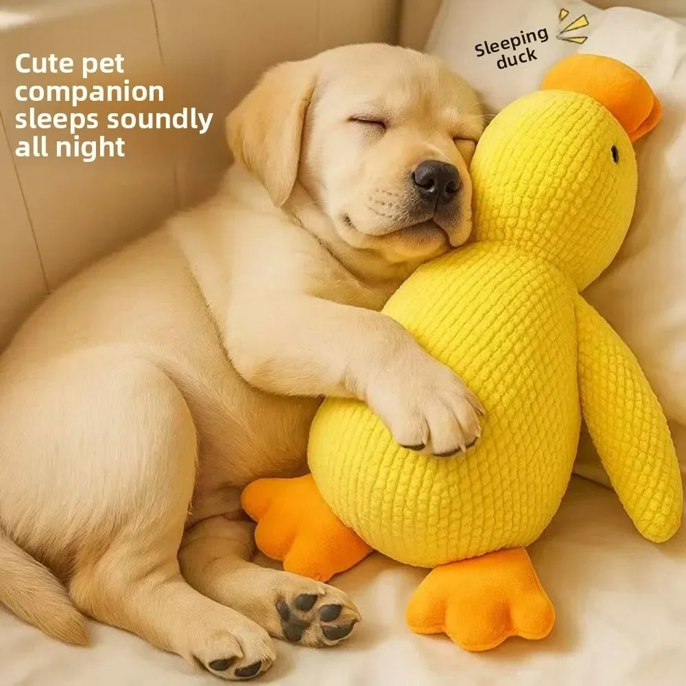 1/3 PCS Squeaky Duck for Dogs. Calming, Plush, Luxury, Sleep Aid and Durable Puppy Companion Pet.