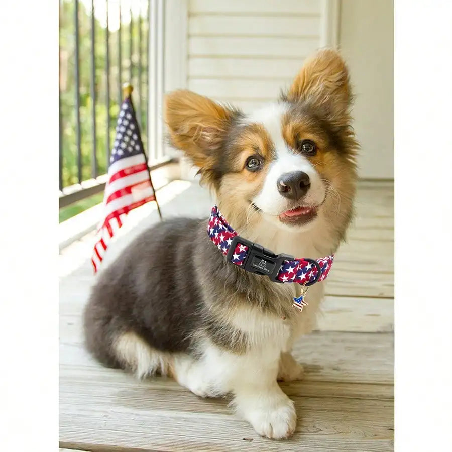 4th of July Independence Day Patriotic Pet Collar;  American Flag Pattern;  Adjustable Dog Neck Strap;  Summer Holiday Dress Up or Gift.