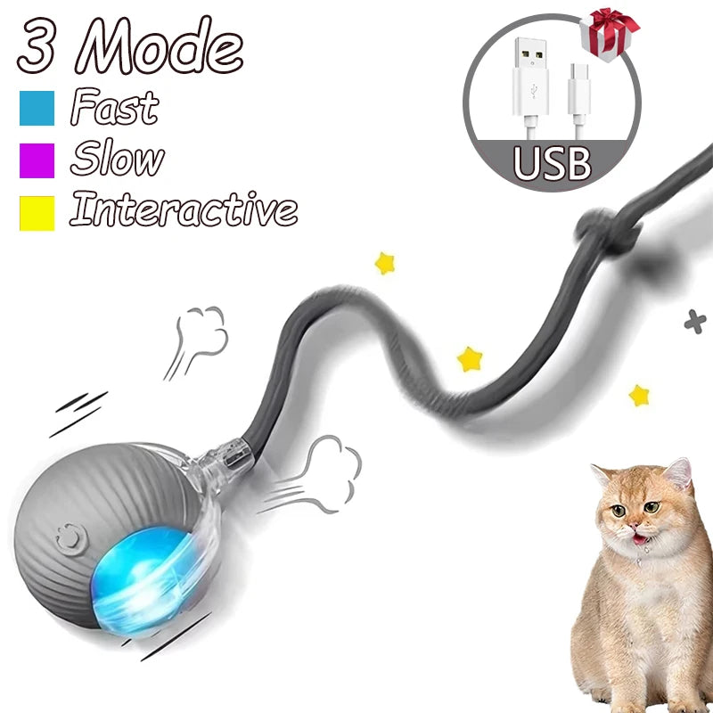 2Pcs Cat Ball Auto Rolling Ball Rechargeable Toy.