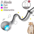 2Pcs Cat Ball Auto Rolling Ball Rechargeable Toy.