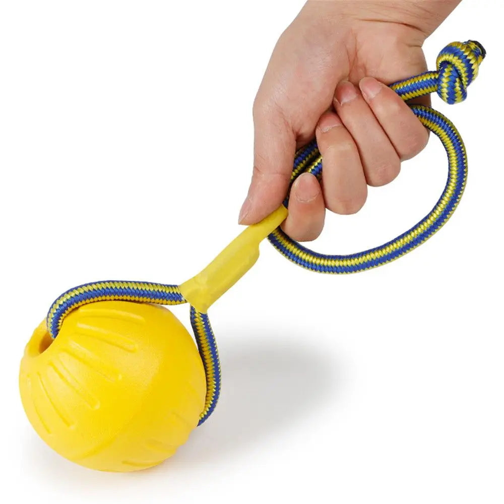 Rubber Ball, Dog Training Chew,  Toy Fetch and Tease Chew Toy.