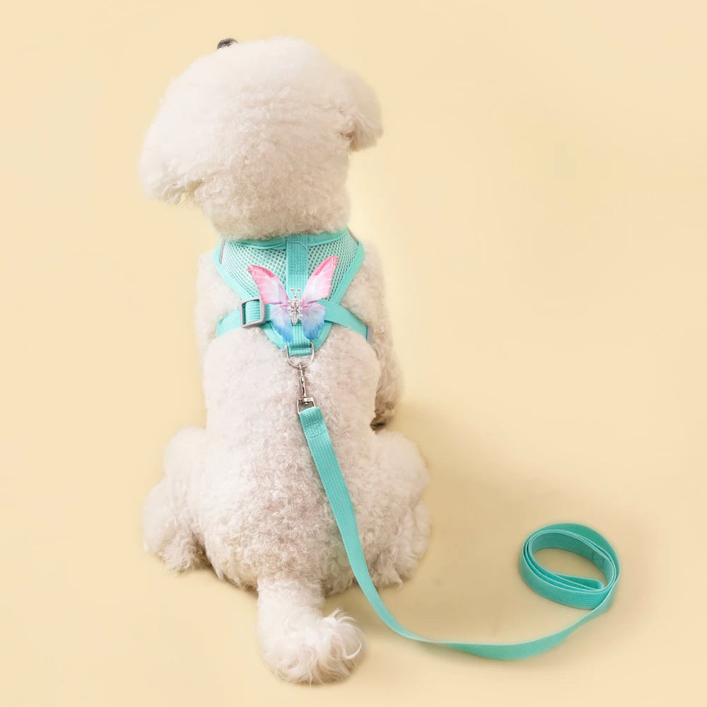 Breathable Cat Harness Set Detachable Butterfly.   Small Dog Harness Vest Set with Leash.