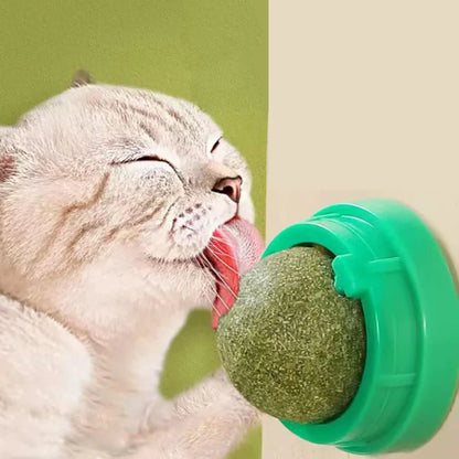 Catnip Cat Wall Stick-on Ball Toy Scratchers.