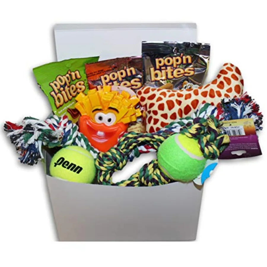 Good Dog Care Package.  New Pet Gift Box.