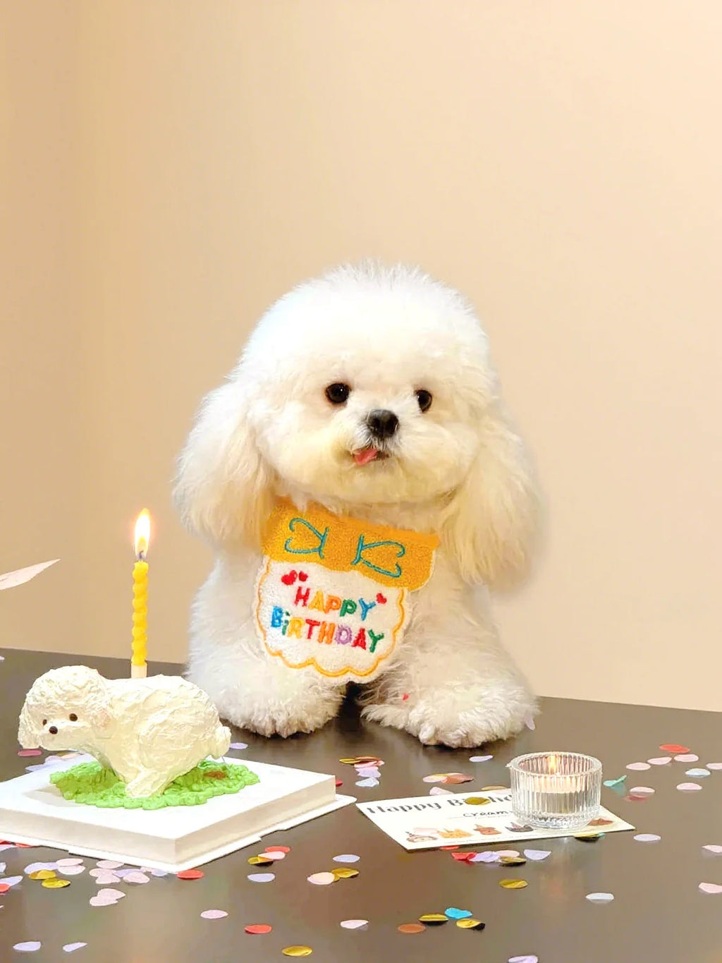 Pet Birthday Outfit for Cats and Dogs are a Birthday Bib and Party Hat.   The Bib is an Adjustable Bandana Scarf for Small Dogs, Puppies and Cats.