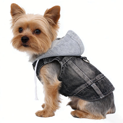 Jeans Hoodie for Small Dogs, Cats & Puppies. Sizes XS - XXL.