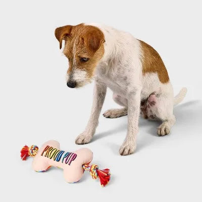 Rope Dog Toy 15" Bone Plush.