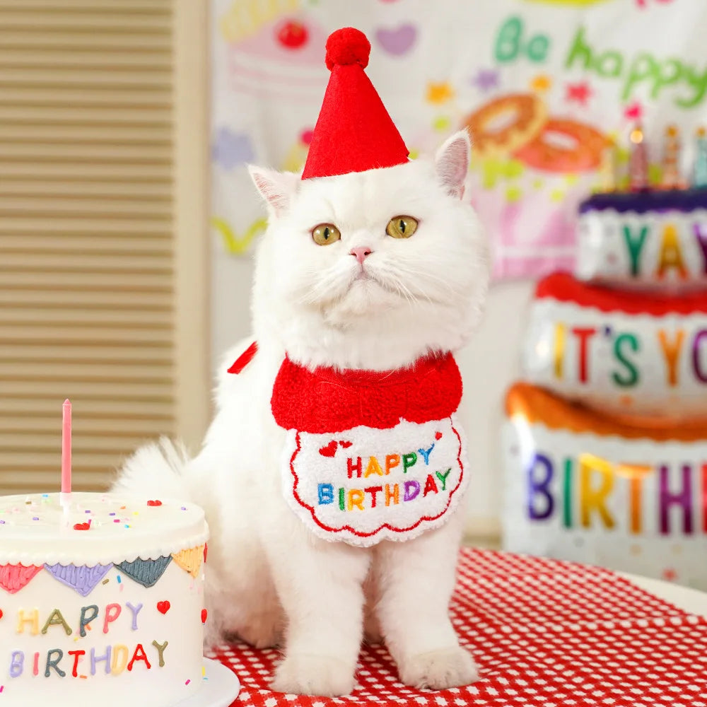 Pet Birthday Hat and Adjustable Scarf Set.  Cat and Dog Birthday Mini Pet Saliva Towels.
