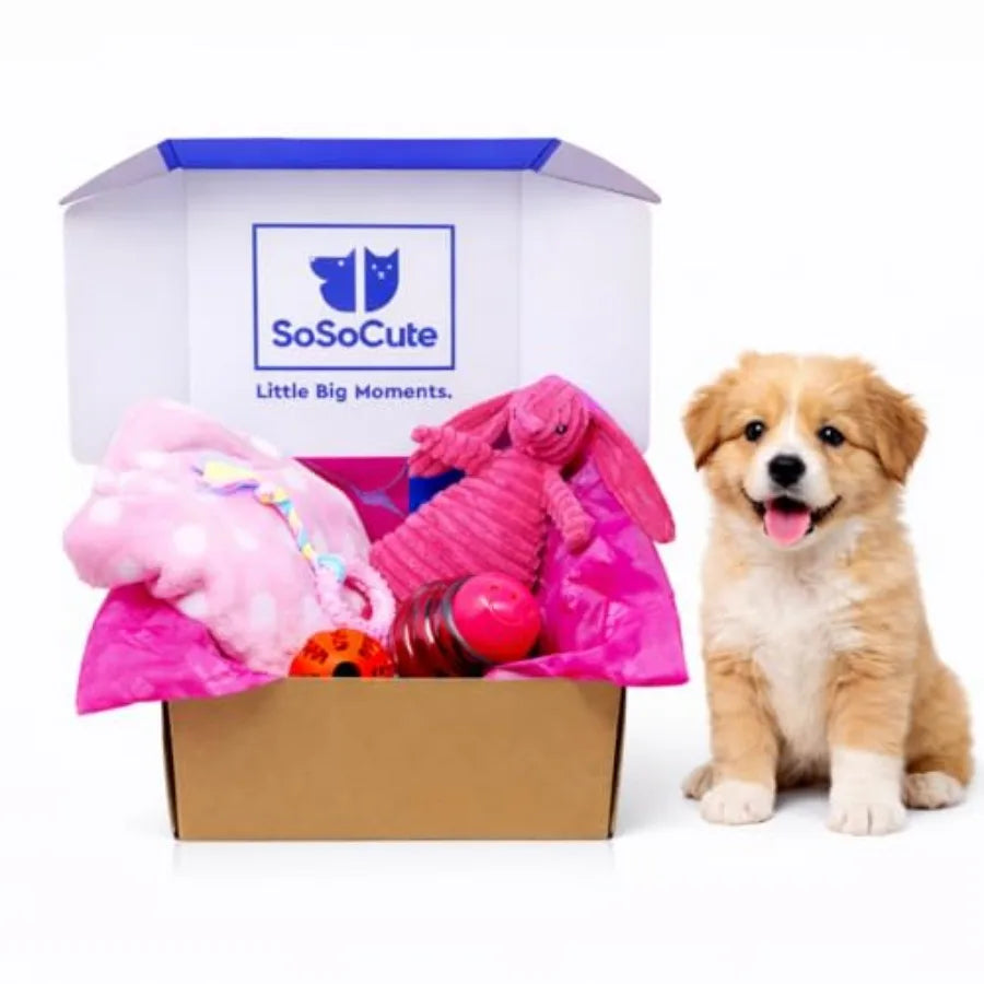 Puppy Starter Kit 5 Piece Toy Gift Set for Small Dogs:  Blanket, Squeaky Plush Toy, Chew Ring, Treat Ball and Feed Ball.
