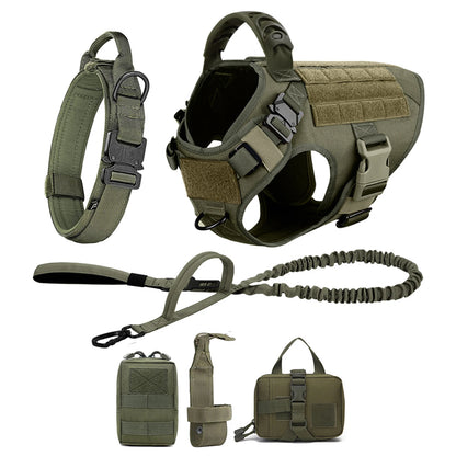 Medium Large Dog Harness And Leash Set.