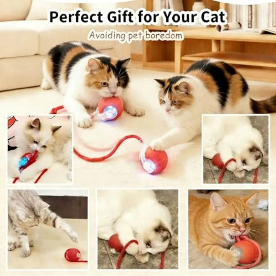 Rechargeable Smart Rolling Cat Ball.  Automatic Interactive Cat Toy with 3 Modes, LED Light and 3 Replaceable Accessories.  Indoor Floors or Carpets are Suitable.