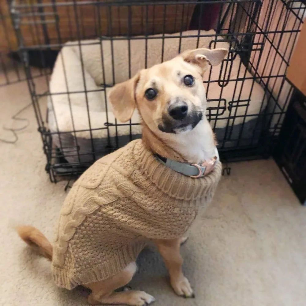 Turtleneck Dog Sweater, Cable Knit Clothes with Leash Hole for Cold Weather,