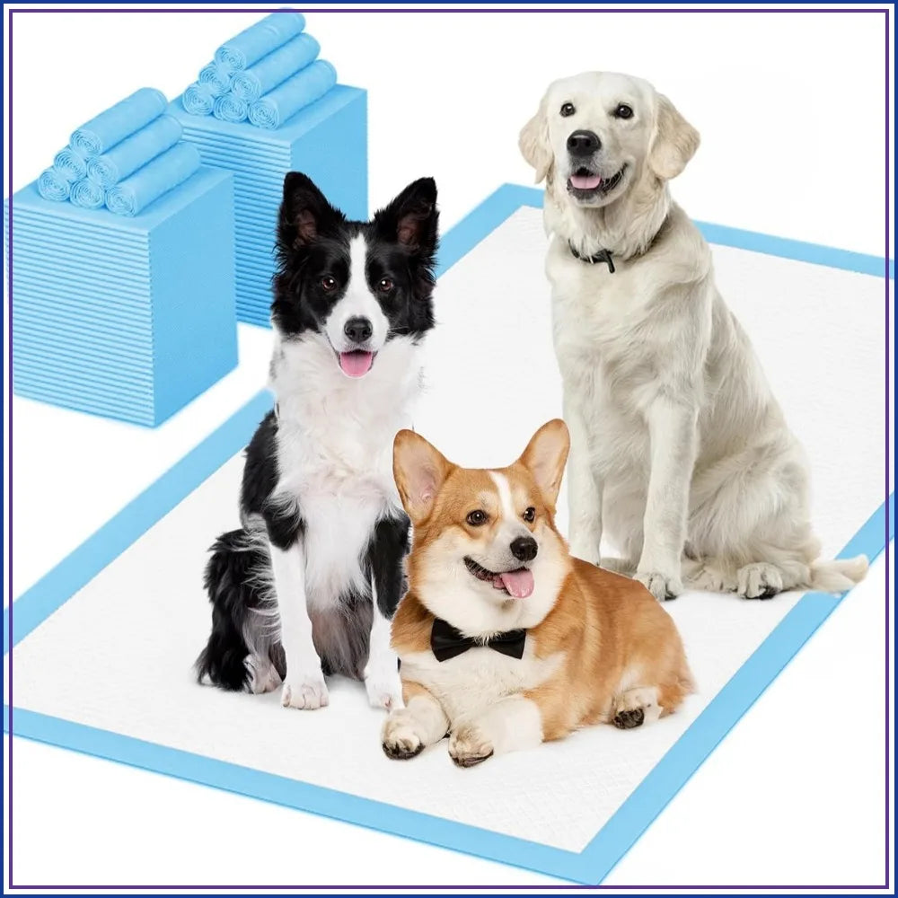 Extra Large (28 x44) Dog Pee Pads 40 Count.