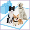 Extra Large (28 x44) Dog Pee Pads 40 Count.