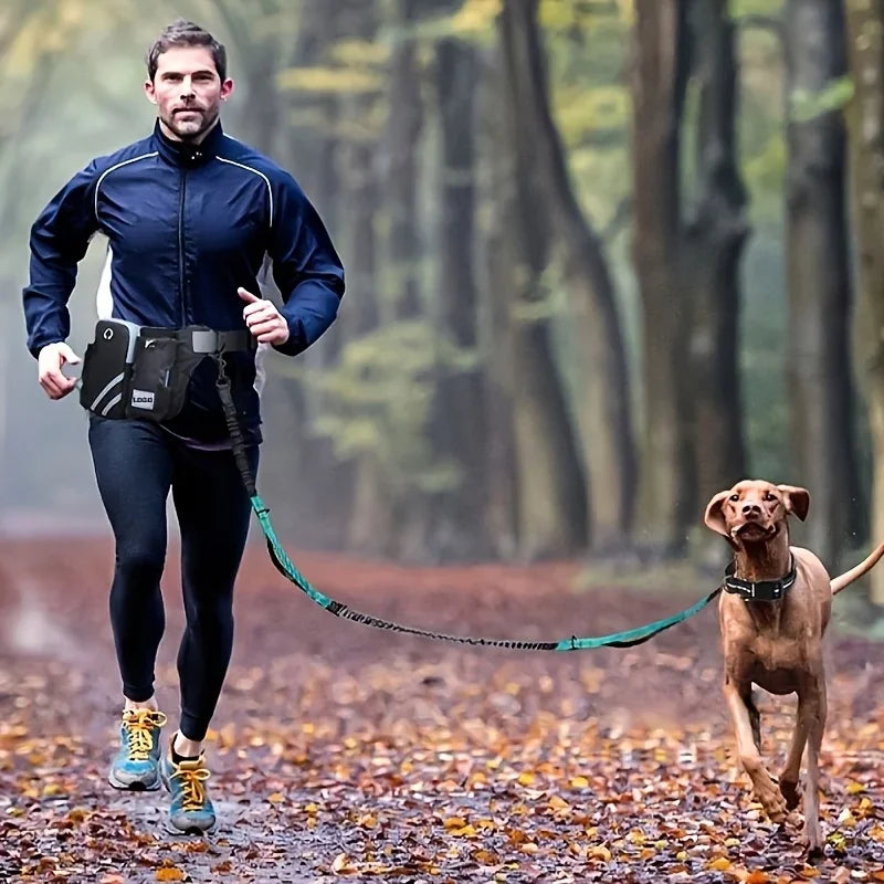 Retractable Dual Dog Leash with Spring Design.  Adjustable Waist Bag with Reflective Stitching for Running, Walking, Hiking and  Cycling for  medium and large dogs.
