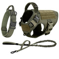 Medium Large Dog Harness And Leash Set.