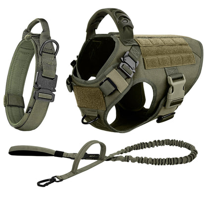 Medium Large Dog Harness And Leash Set.