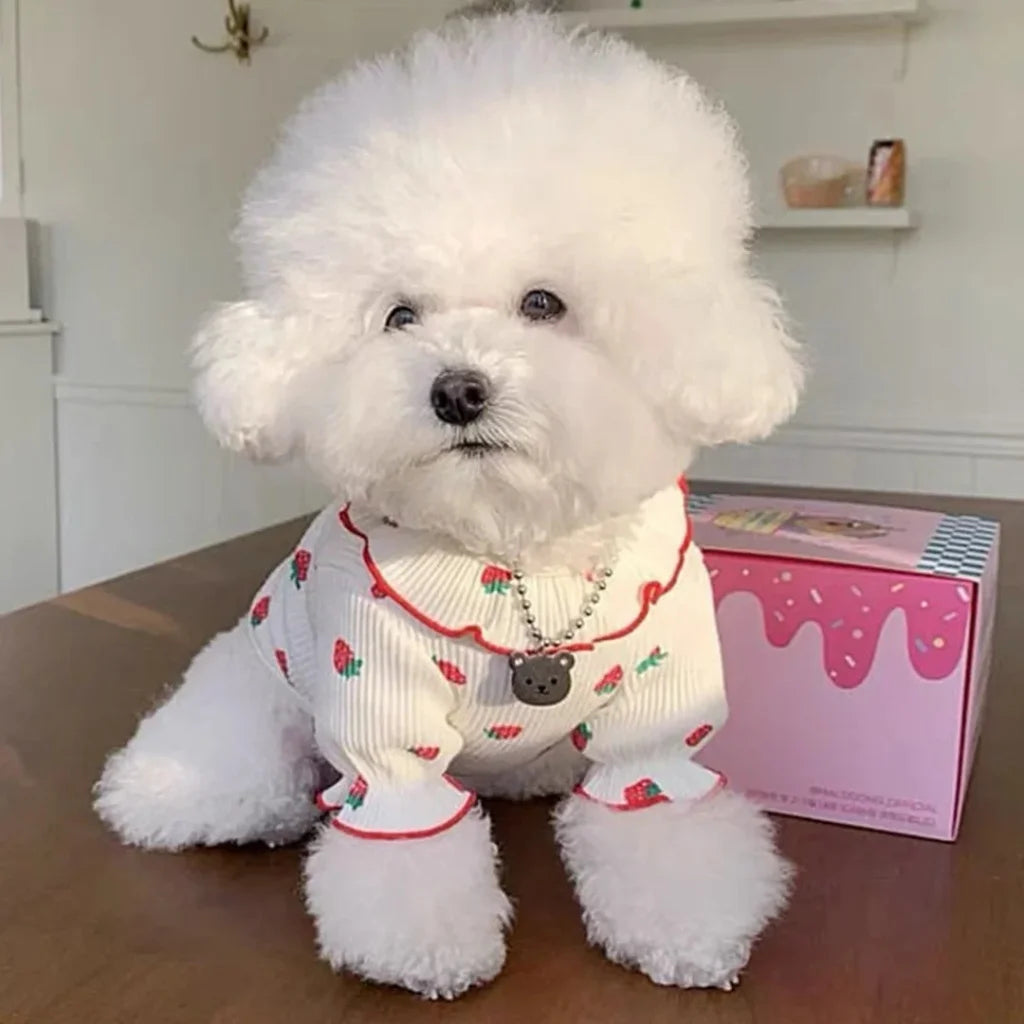 Strawberry Print Small Dog or Cat Summer Dress.