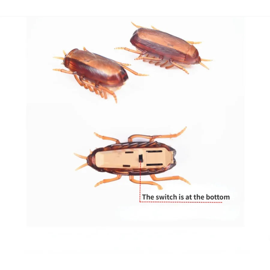Funny Simulation of Cockroaches,  Play Toys for Cats, Dogs, Kittens.