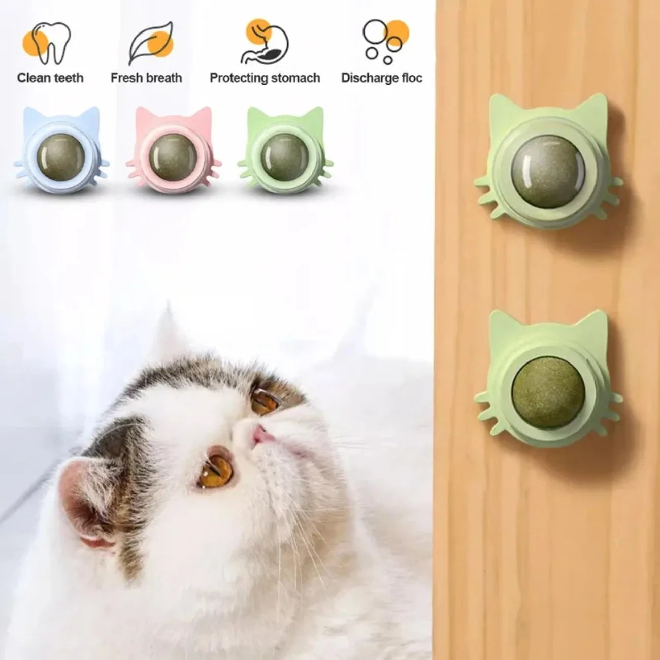 Interactive Catnip Lollipop for Cats – Natural Dental Care Treat on a Stick, Wall-Mountable for Play & Digestive Support.