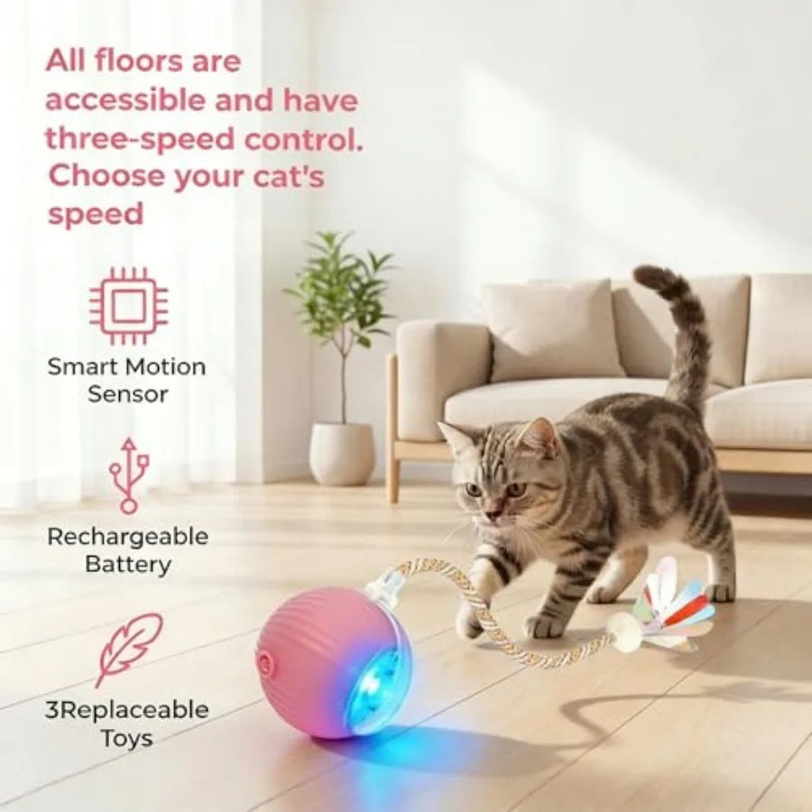 Rechargeable Smart Rolling Cat Ball.  Automatic Interactive Cat Toy with 3 Modes, LED Light and 3 Replaceable Accessories.  Indoor Floors or Carpets are Suitable.