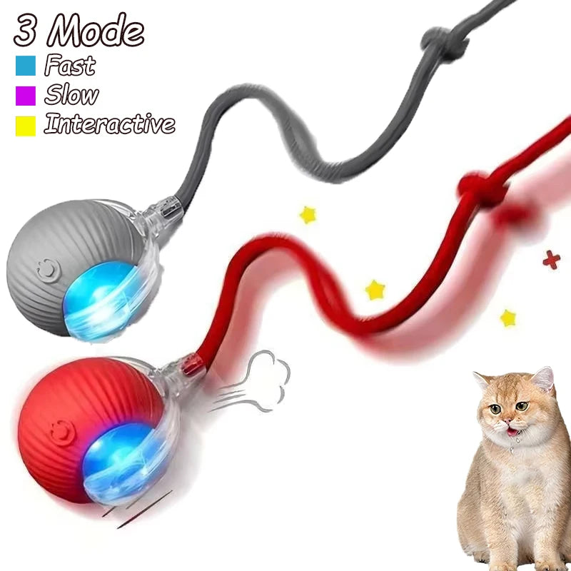 2Pcs Cat Ball Auto Rolling Ball Rechargeable Toy.