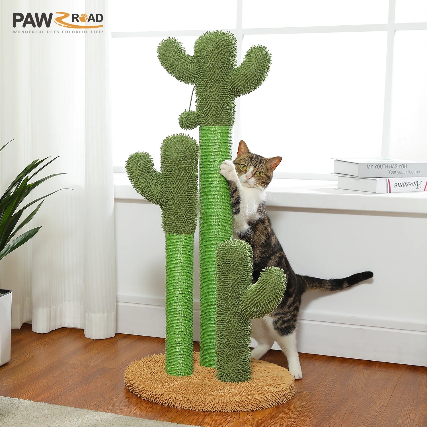Cactus Cat Tree with Large Condo, Hammock, Dangling Ball, Small Cat Tower, Cat Scratching Post for Indoor Cats.  Limit 8.7 lb.