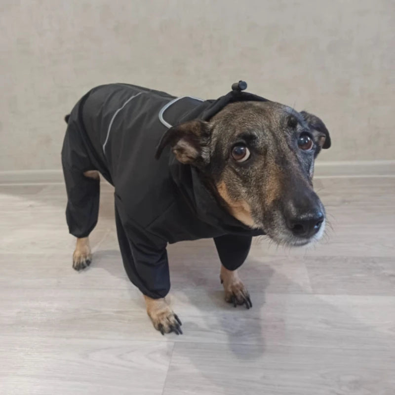 Full Coverage Dog Waterproof Raincoat for Dogs Small- Extra Large.