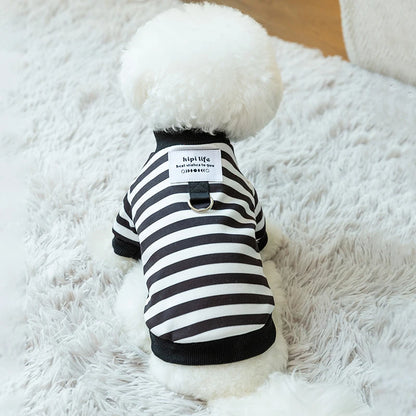 Winter Clothes for Small Dogs & Cats; Sizes XS - XXL.