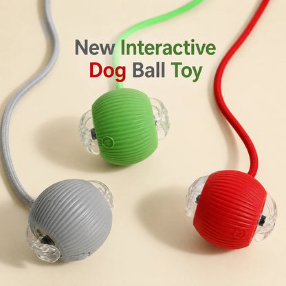 Automatic Rolling Dog Ball Toy.