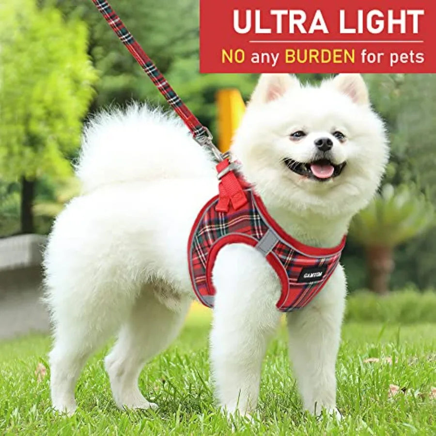 Small Dog Harness Collar and Leash Set.  Step in, No Pull and Soft Mesh.  Adjustable Dog Vest Harness.