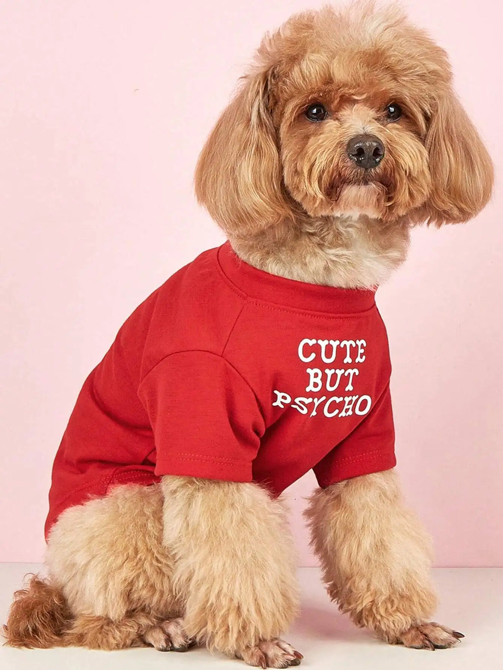 This Lightweight Pet Clothing Features A Round Neck T-Shirt Design With Letter Print. It Is Suitable for Spring, Summer and Autumn for  Cats and Dogs,