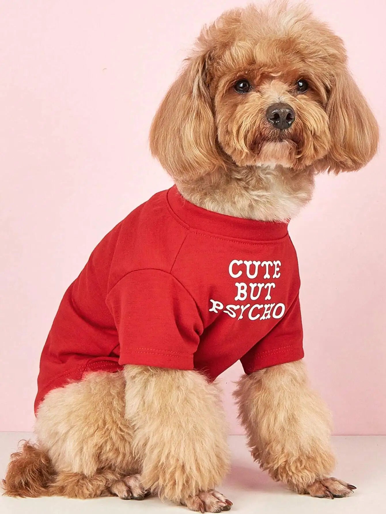 This Lightweight Pet Clothing Features A Round Neck T-Shirt Design With Letter Print. It Is Suitable for Spring, Summer and Autumn for  Cats and Dogs,