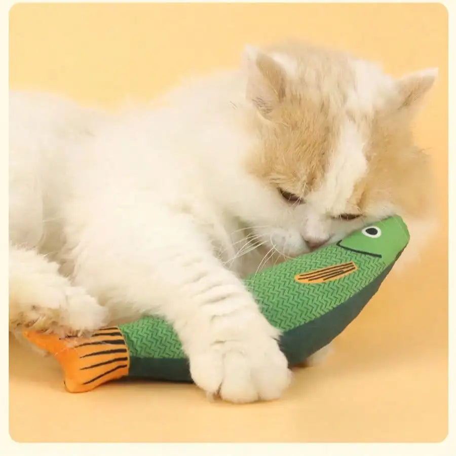Realistic Fish Design Cat Toy.    Indoor Interactive Kicking Toy For Cats,