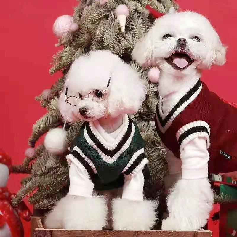 Winter Warm Dog Sweater College Style V-neck.