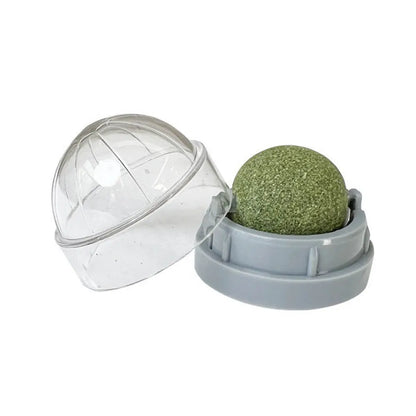 Catnip Cat Wall Stick-on Ball Toy Scratchers.